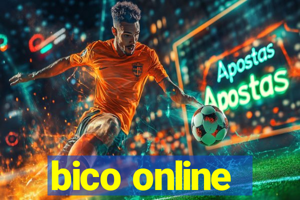 bico online